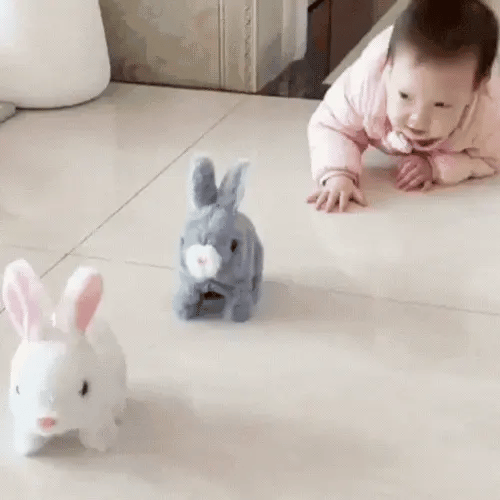 The Walking Rabbit Toy - Exclusive in India