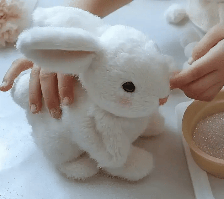 The Walking Rabbit Toy - Exclusive in India