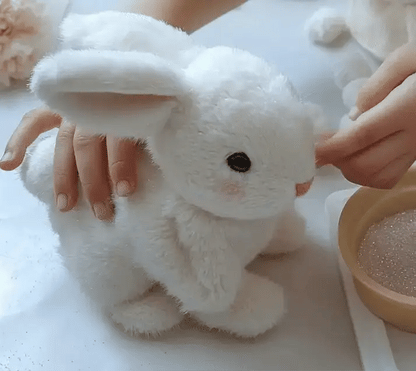 The Walking Rabbit Toy - Exclusive in India