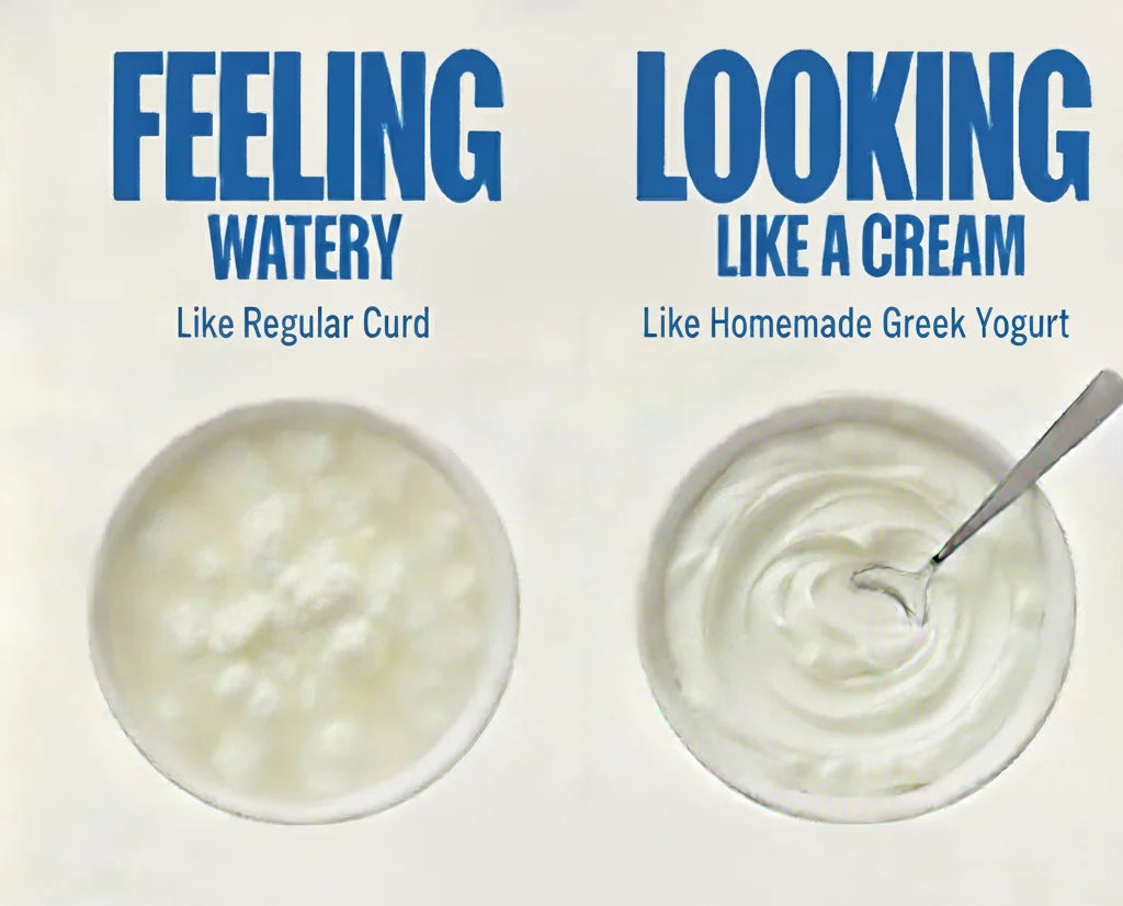 Multifunctional Yogurt Filter by RareHomes™
