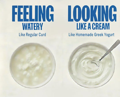 Multifunctional Yogurt Filter by RareHomes™
